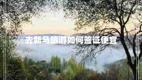 去新马旅游如何签证便宜