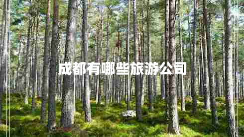 成都有哪些旅游公司