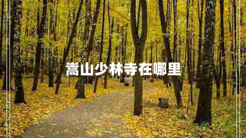 嵩山少林寺在哪里