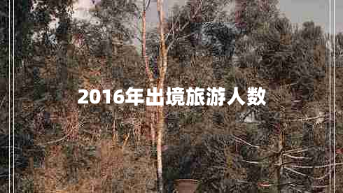 2016年出境旅游人数