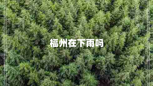 福州在下雨吗