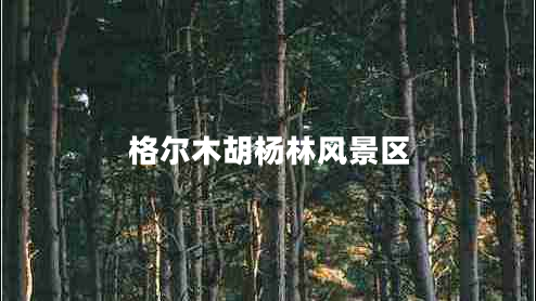 格尔木胡杨林风景区