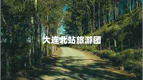 大连北站旅游团