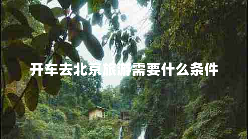 开车去北京旅游需要什么条件