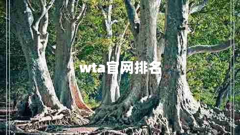 wta官网排名