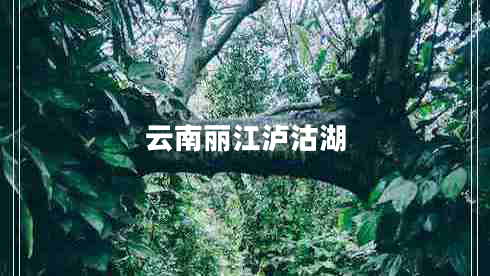 云南丽江泸沽湖