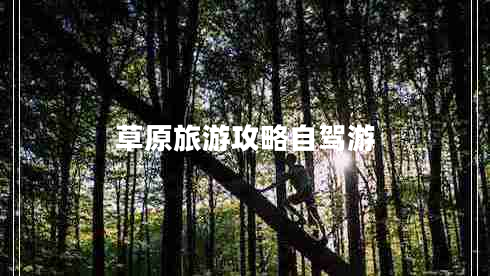 草原旅游攻略自驾游