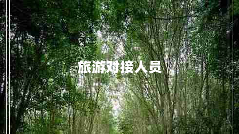 旅游对接人员