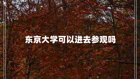 东京大学可以进去参观吗