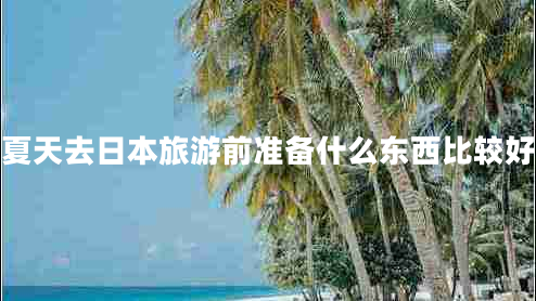 夏天去日本旅游前准备什么东西比较好