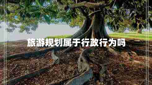 旅游规划属于行政行为吗