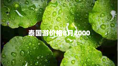 泰国游价格8月2000