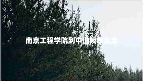 南京工程学院到中山陵怎么走