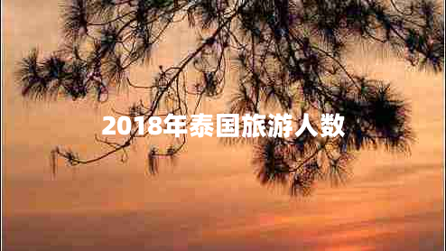 2018年泰国旅游人数