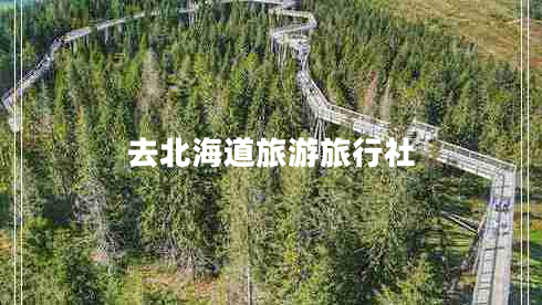 去北海道旅游旅行社