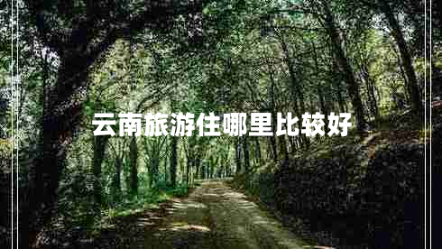 云南旅游住哪里比较好