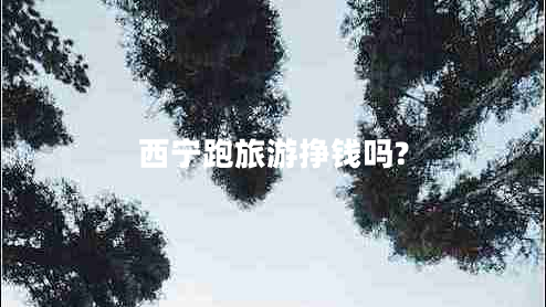 西宁跑旅游挣钱吗?