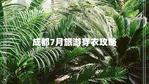 成都7月旅游穿衣攻略