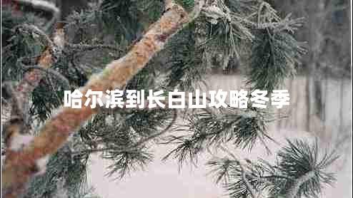 哈尔滨到长白山攻略冬季