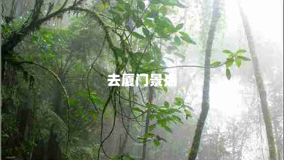 去厦门景点