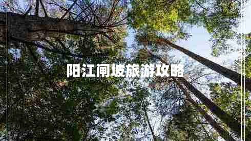 阳江闸坡旅游攻略