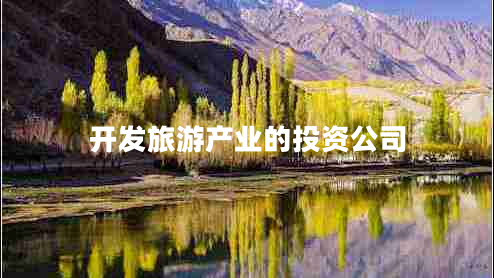 开发旅游产业的投资公司