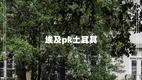 埃及pk土耳其