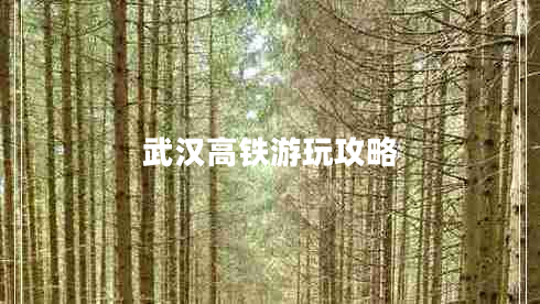 武汉高铁游玩攻略