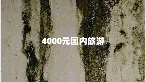 4000元国内旅游