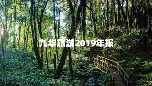 九华旅游2019年报