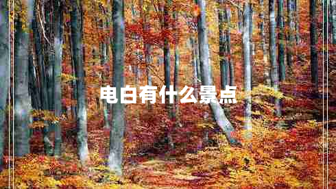 电白有什么景点