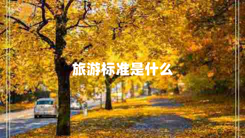 旅游标准是什么