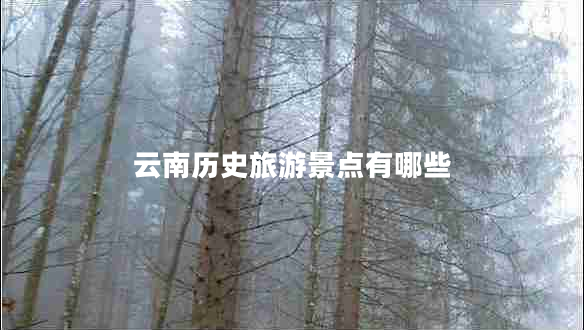 云南历史旅游景点有哪些