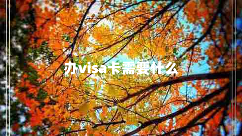 办visa卡需要什么