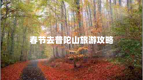 春节去普陀山旅游攻略