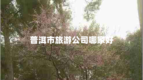 普洱市旅游公司哪家好