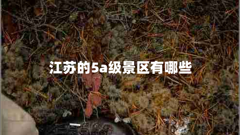 江苏的5a级景区有哪些