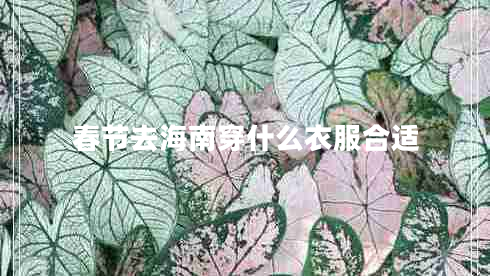 春节去海南穿什么衣服合适