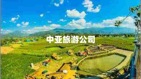 中亚旅游公司