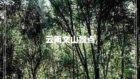 云南文山景点