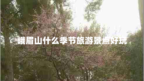 峨眉山什么季节旅游景点好玩