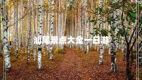 汕尾景点大全一日游