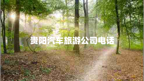 贵阳汽车旅游公司电话