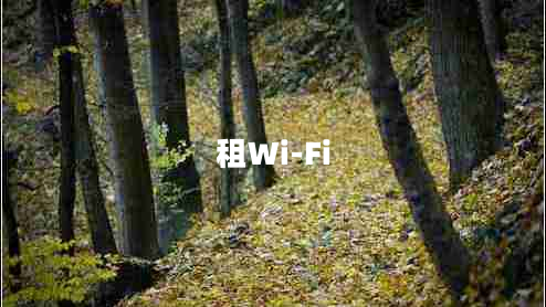 租Wi-Fi