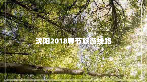 沈阳2018春节旅游线路