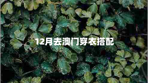 12月去澳门穿衣搭配