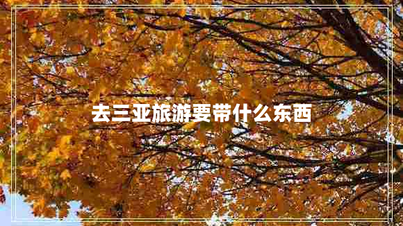 去三亚旅游要带什么东西