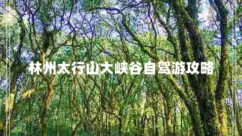 林州太行山大峡谷自驾游攻略