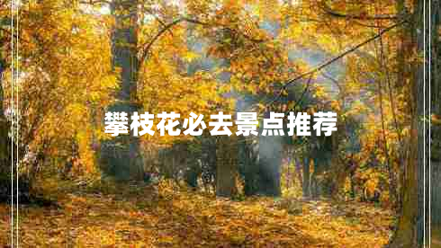 攀枝花必去景点推荐