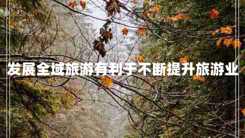 发展全域旅游有利于不断提升旅游业